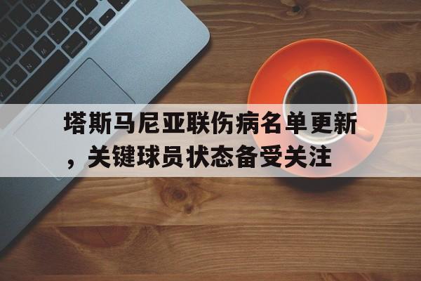 开云体育中国官网-塔斯马尼亚联伤病名单更新，关键球员状态备受关注的简单介绍