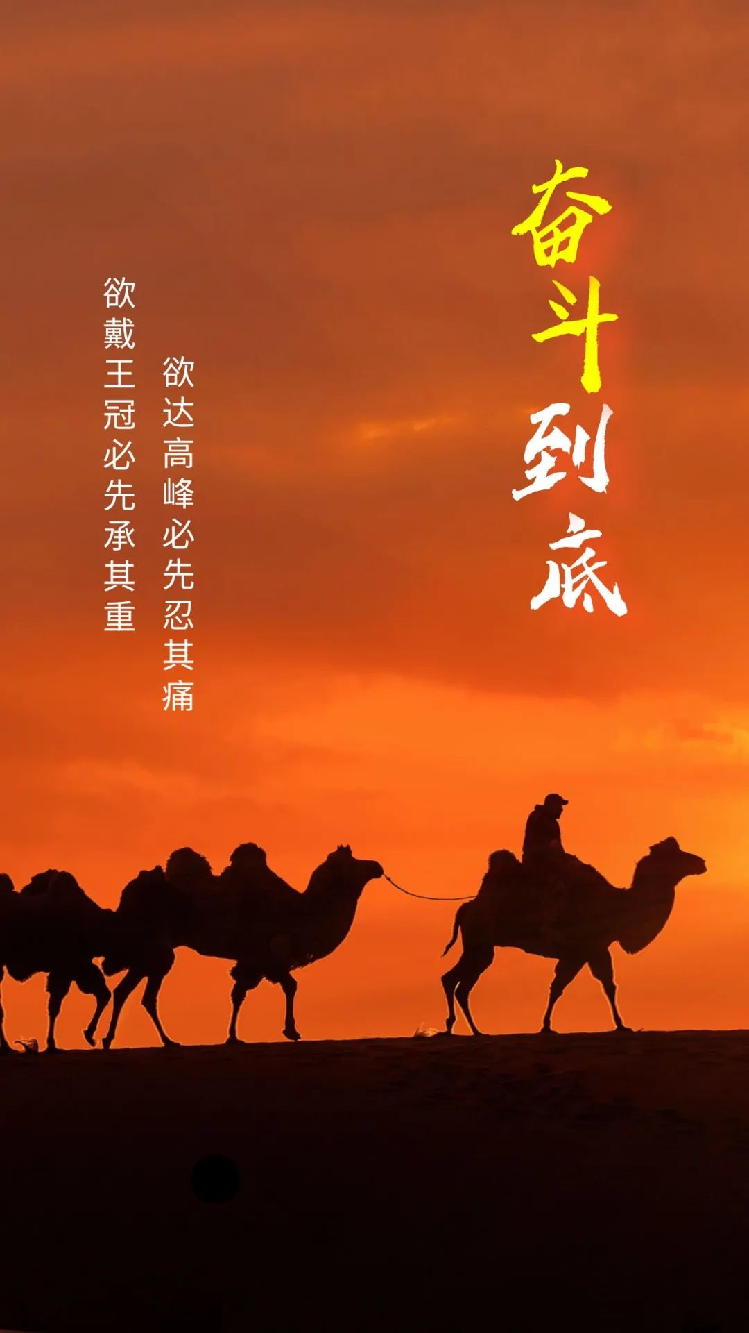 包含强者脱颖而出，雄心壮志闪耀赛场的词条